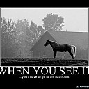 633648011191509777-whenyouseeit