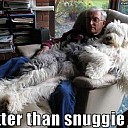 Better_Than_A_Snuggie