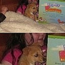 ahhhehehaedog