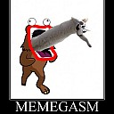 Memegasm2