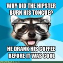 internet-memes-damn-hipster-deserved-it