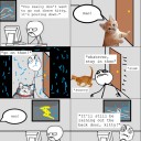 internet-memes-cat-logic