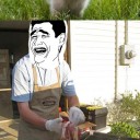 internet-memes-reality