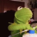 naughty-memes-wtf-frogs-don