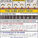 6533_dcde_480