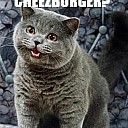 HAPPYCAT_I_CAN_HAS_CHEEZBURGER
