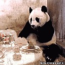 imgur-kgppp