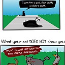 November-13-2012-14-56-44-catslovemurder