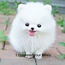 45040