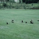 iAsLzTpv90DB9_zpsa012b5de