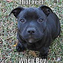 feelwhenboy1