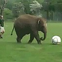 friday_gifdump_352_05