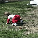 Animals-Hate-Kids-01