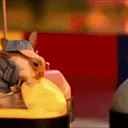 bunnybumpercarsftwgifs